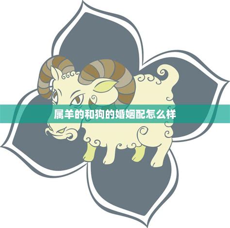 羊跟豬合嗎|属羊和属猪合不合 属羊和属猪合不合财运